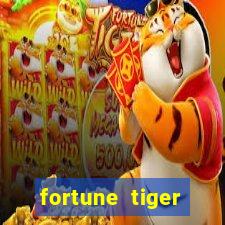 fortune tiger minimo 1 real